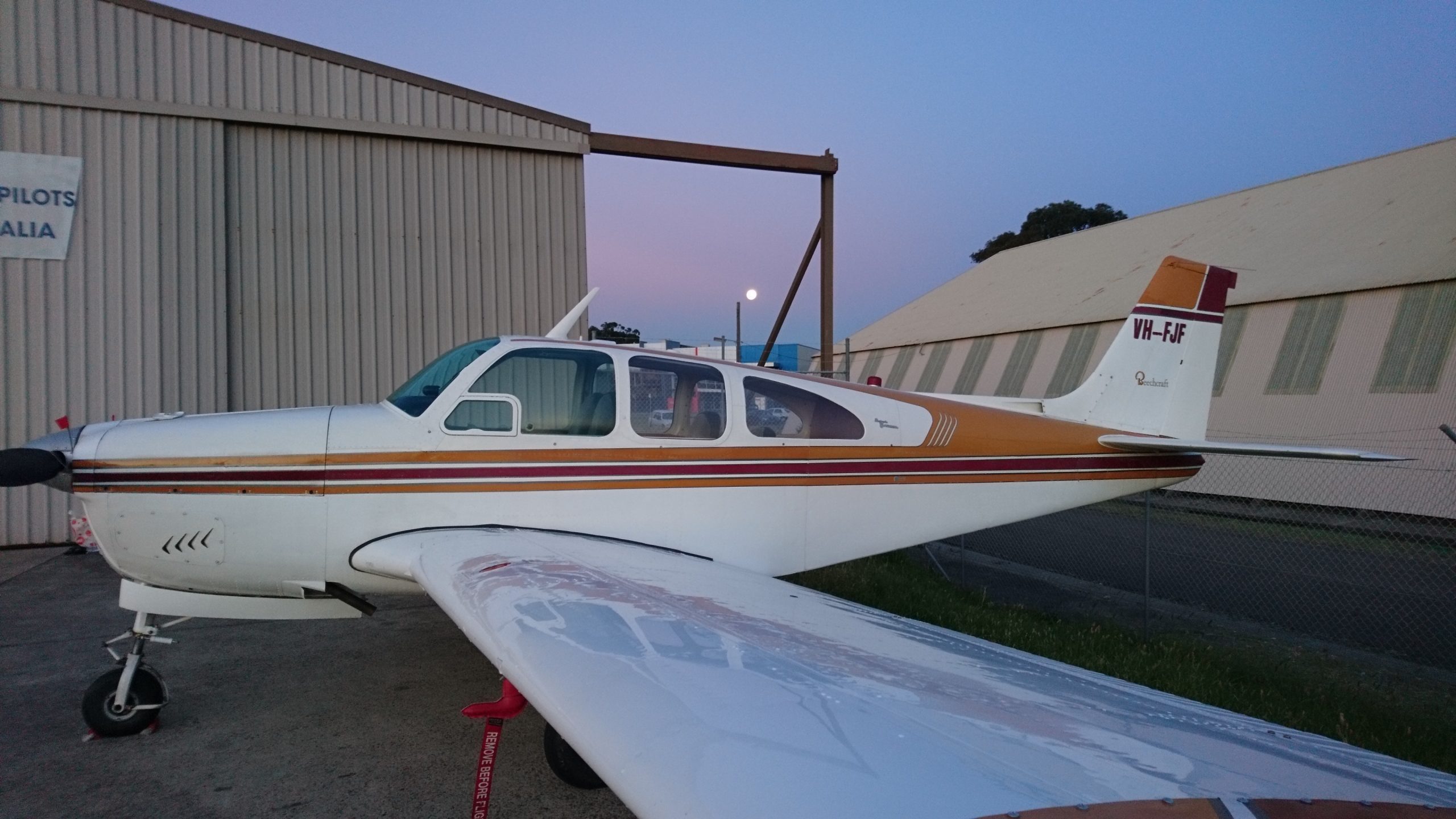 C33 Bonanza